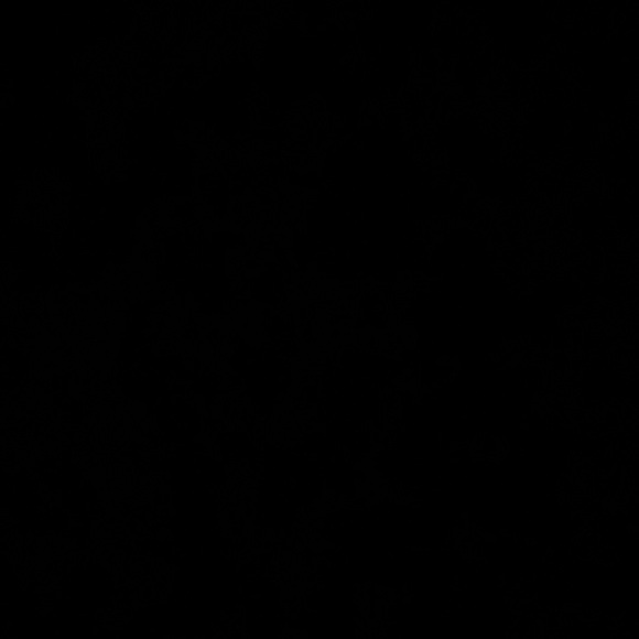 Meet your Posher, Vionelli - Picture 2 of 2